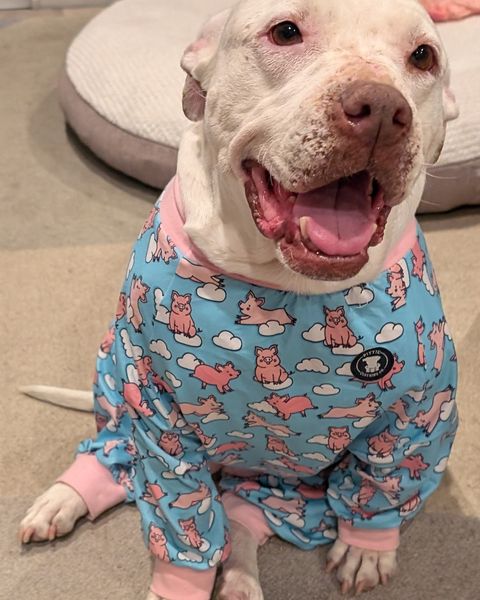 Cecilia sitting on the carpet beside her round bed in blue pajamas printed with flying pigs, grinning up at the camera.