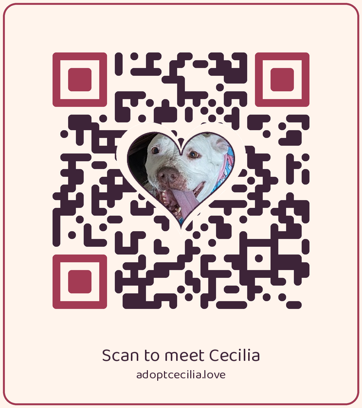 A QR code on a peach card with a heart-shaped photo of Cecilia at its center, captioned 'Scan to meet Cecilia' above the address adoptcecilia.love.